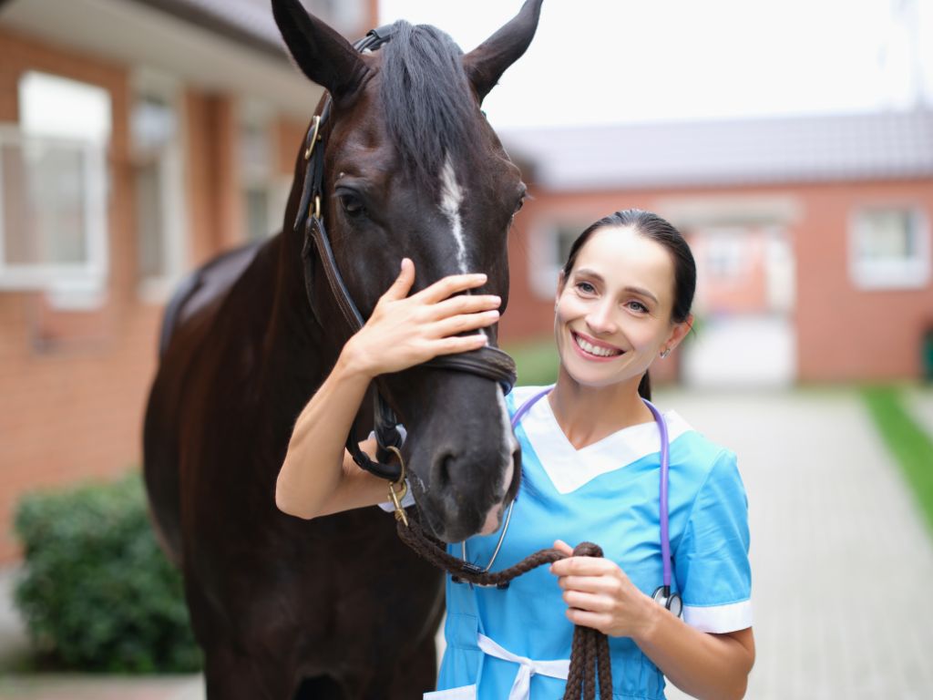Auxiliar de Veterinária para Equinos